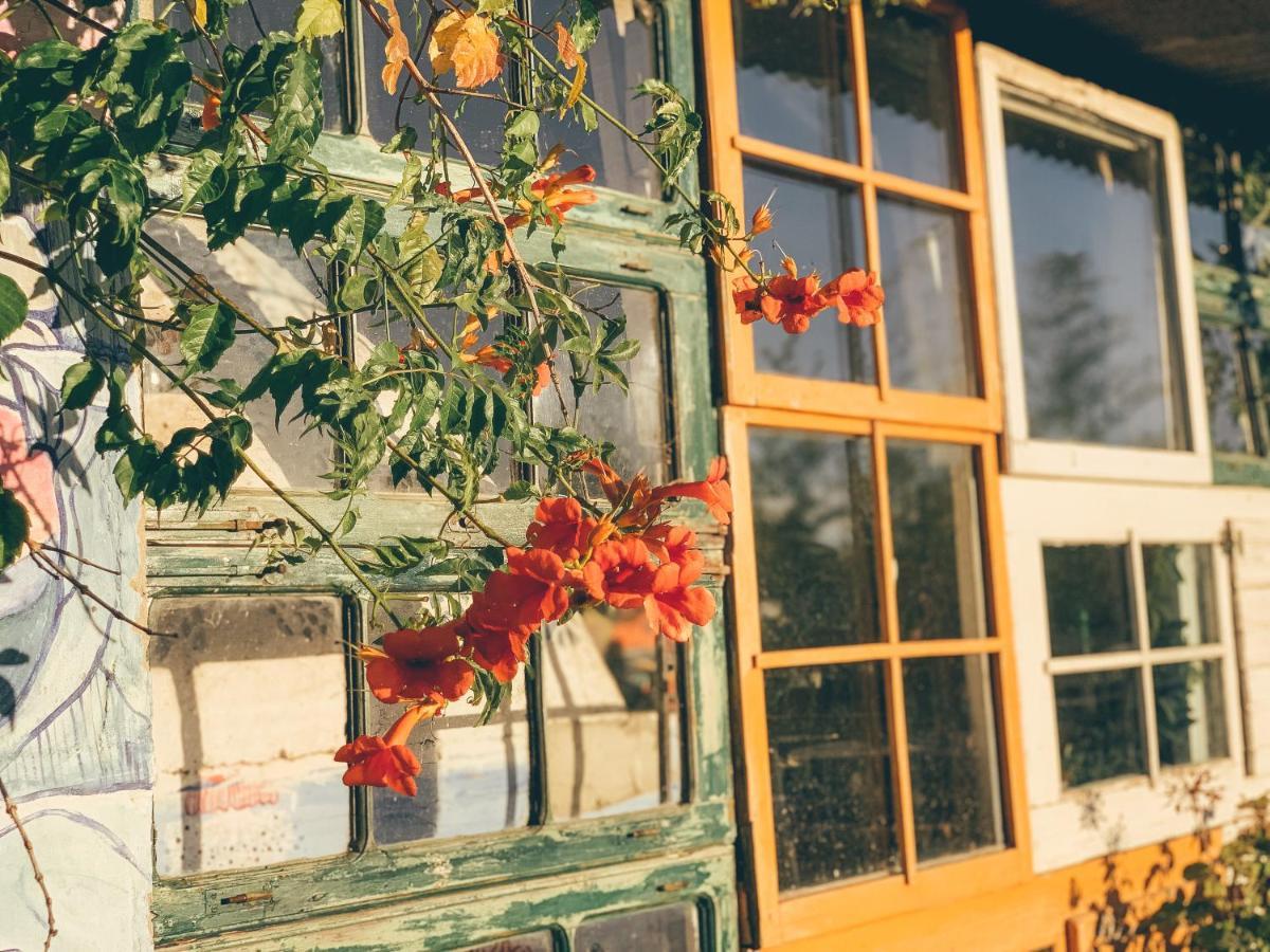 Visit Pachamama Community Apartment อัลกาแซร์โดซัล ภายนอก รูปภาพ