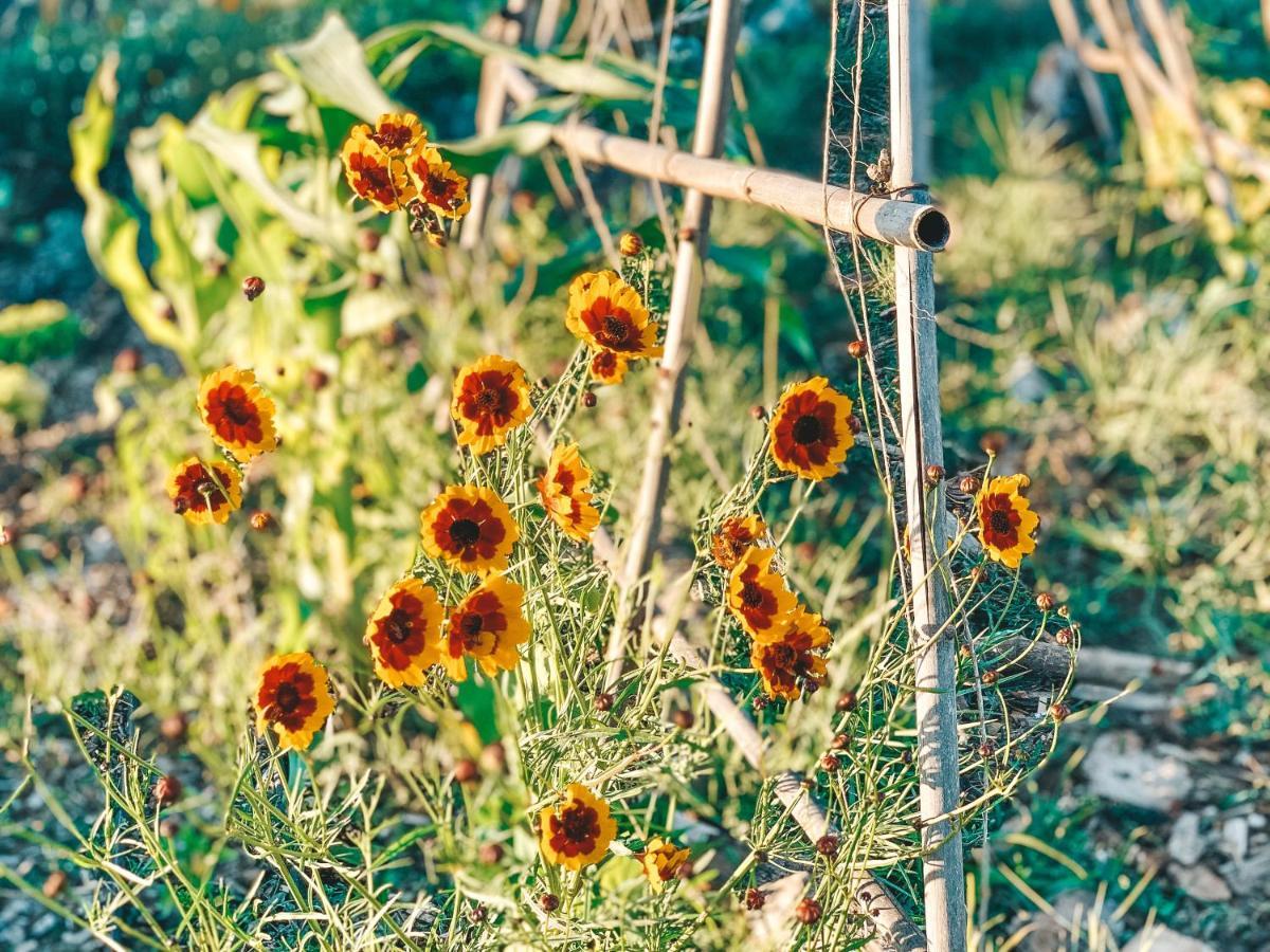 Visit Pachamama Community Apartment อัลกาแซร์โดซัล ภายนอก รูปภาพ